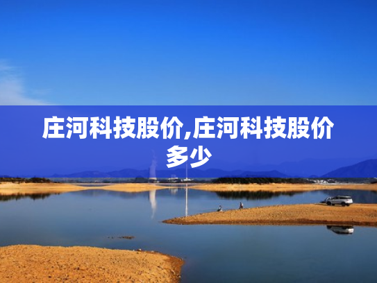 庄河科技股价,庄河科技股价多少
