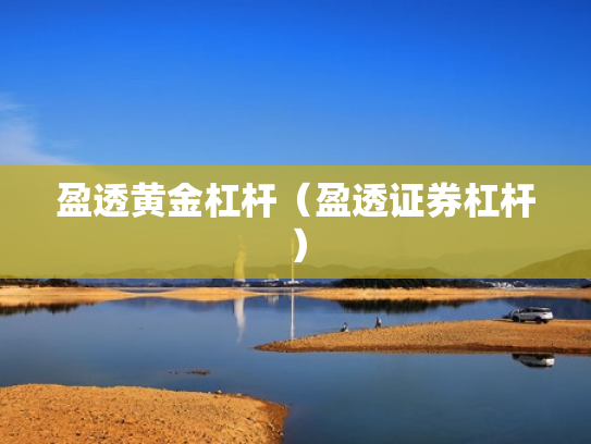 盈透黄金杠杆（盈透证券杠杆）
