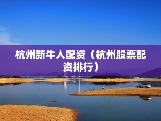 杭州新牛人配资（杭州股票配资排行）