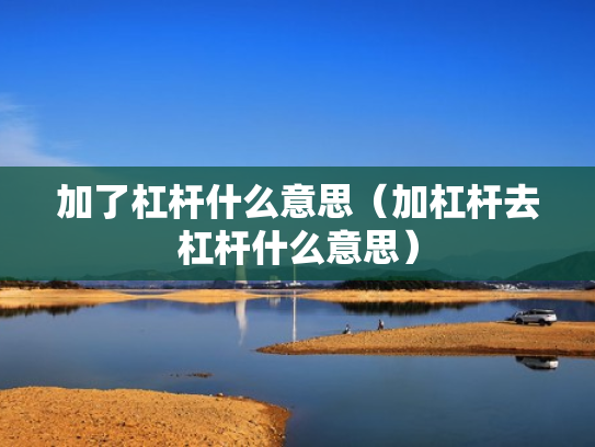 加了杠杆什么意思（加杠杆去杠杆什么意思）