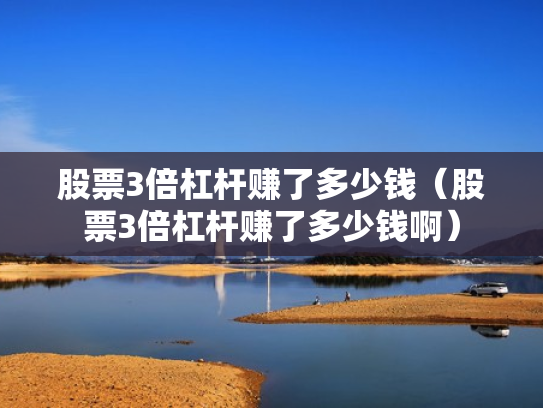 股票3倍杠杆赚了多少钱（股票3倍杠杆赚了多少钱啊）