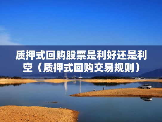 质押式回购股票是利好还是利空（质押式回购交易规则）