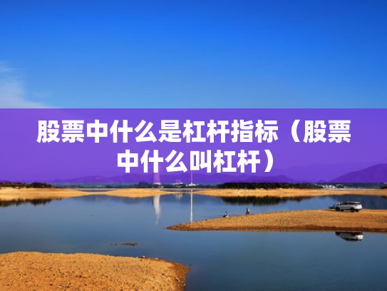股票中什么是杠杆指标（股票中什么叫杠杆）