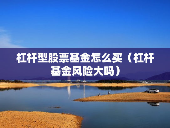 杠杆型股票基金怎么买（杠杆基金风险大吗）