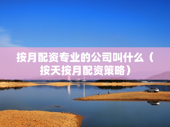 按月配资专业的公司叫什么（按天按月配资策略）
