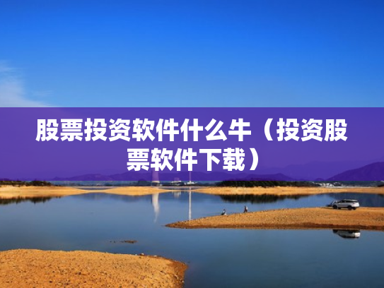 股票投资软件什么牛（投资股票软件下载）