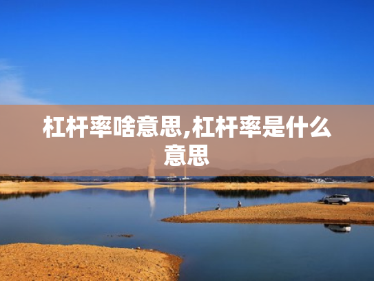 杠杆率啥意思,杠杆率是什么意思