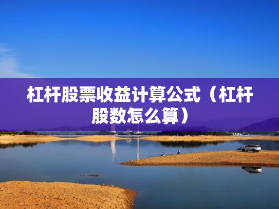 杠杆股票收益计算公式（杠杆股数怎么算）
