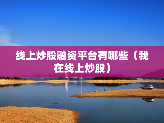 线上炒股融资平台有哪些（我在线上炒股）