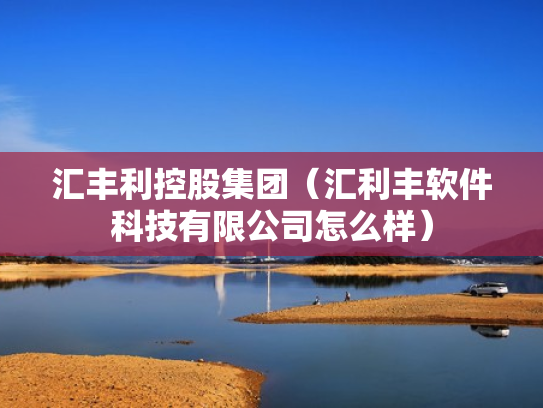 汇丰利控股集团（汇利丰软件科技有限公司怎么样）