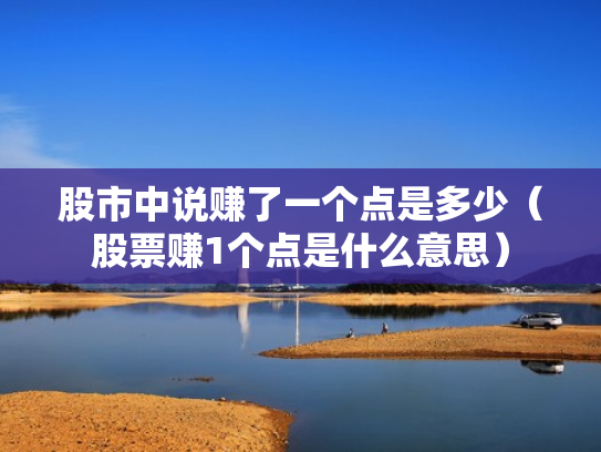 股市中说赚了一个点是多少（股票赚1个点是什么意思）