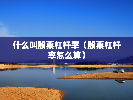什么叫股票杠杆率（股票杠杆率怎么算）