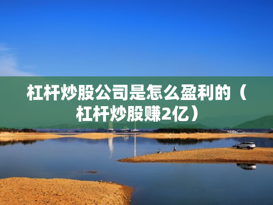 杠杆炒股公司是怎么盈利的（杠杆炒股赚2亿）