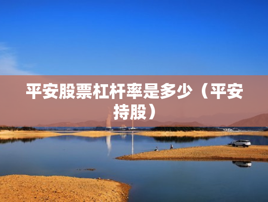 平安股票杠杆率是多少（平安持股）