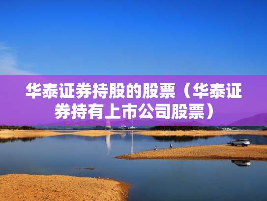 华泰证券持股的股票（华泰证券持有上市公司股票）