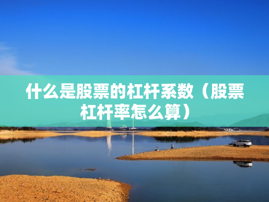 什么是股票的杠杆系数（股票杠杆率怎么算）