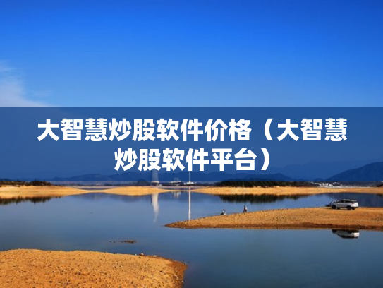 大智慧炒股软件价格（大智慧炒股软件平台）