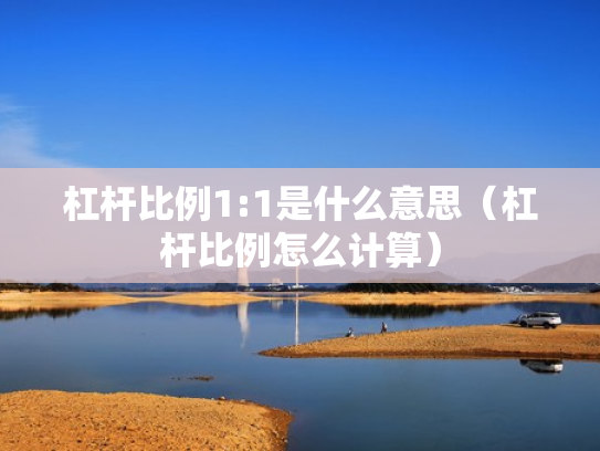杠杆比例1:1是什么意思（杠杆比例怎么计算）