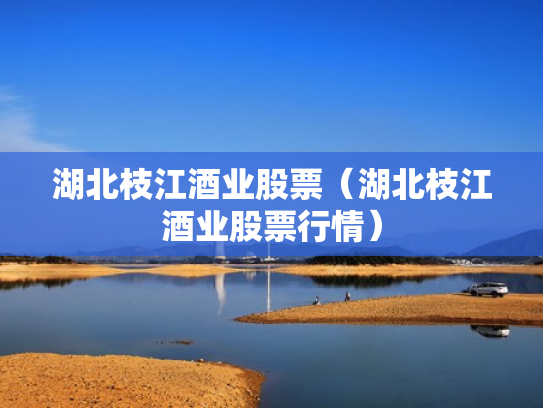 湖北枝江酒业股票（湖北枝江酒业股票行情）