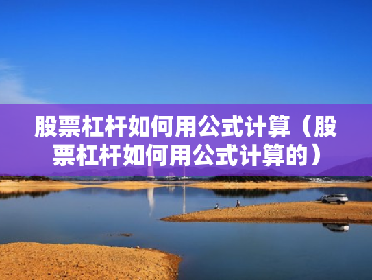 股票杠杆如何用公式计算（股票杠杆如何用公式计算的）