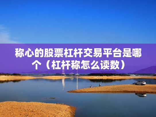 称心的股票杠杆交易平台是哪个（杠杆称怎么读数）