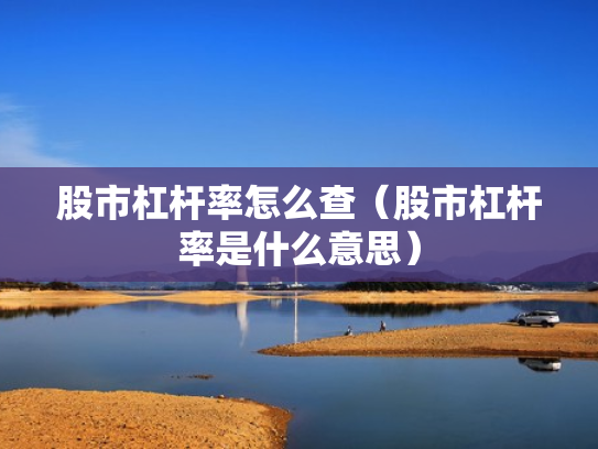股市杠杆率怎么查（股市杠杆率是什么意思）