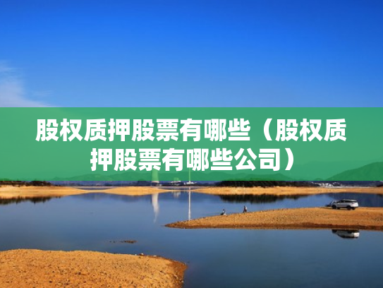 股权质押股票有哪些（股权质押股票有哪些公司）