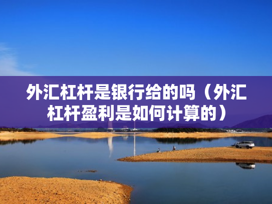 外汇杠杆是银行给的吗（外汇杠杆盈利是如何计算的）