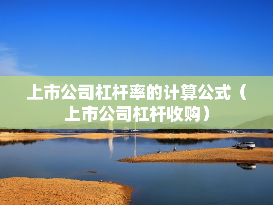 上市公司杠杆率的计算公式（上市公司杠杆收购）