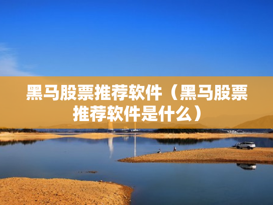 黑马股票推荐软件（黑马股票推荐软件是什么）
