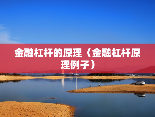 金融杠杆的原理（金融杠杆原理例子）