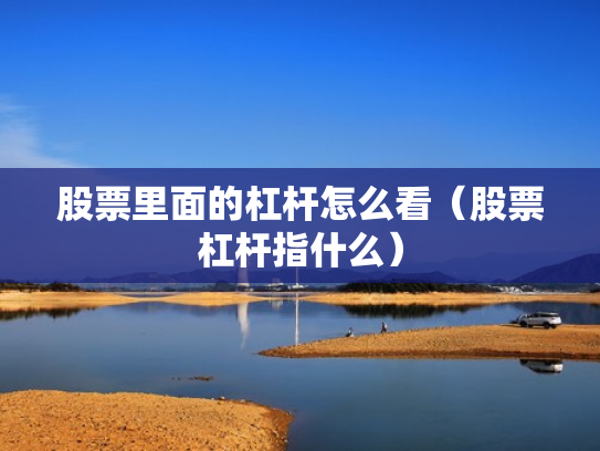 股票里面的杠杆怎么看（股票杠杆指什么）