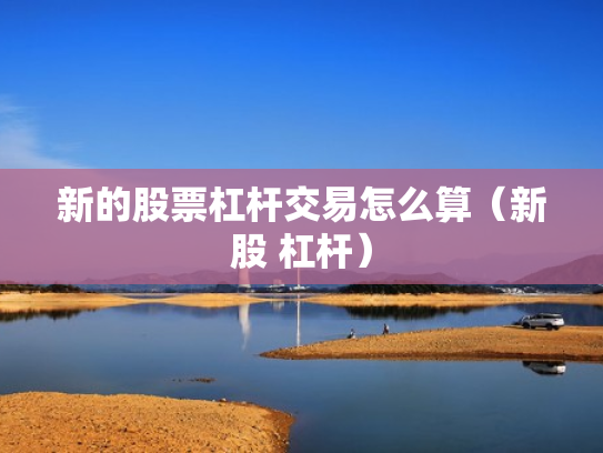 新的股票杠杆交易怎么算（新股 杠杆）