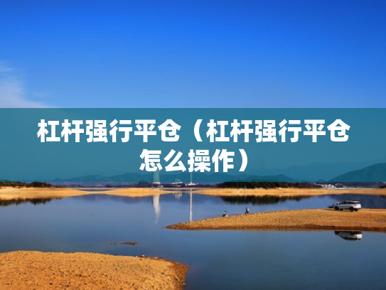 杠杆强行平仓（杠杆强行平仓怎么操作）