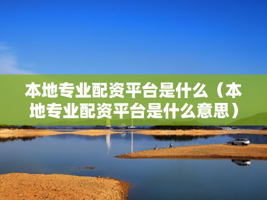 本地专业配资平台是什么（本地专业配资平台是什么意思）