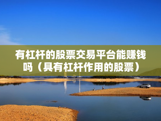 有杠杆的股票交易平台能赚钱吗（具有杠杆作用的股票）