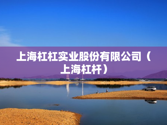 上海杠杠实业股份有限公司（上海杠杆）
