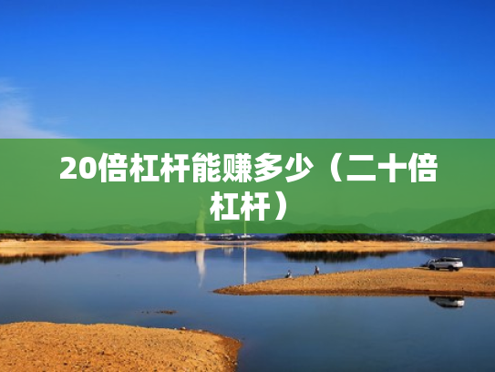 20倍杠杆能赚多少（二十倍杠杆）