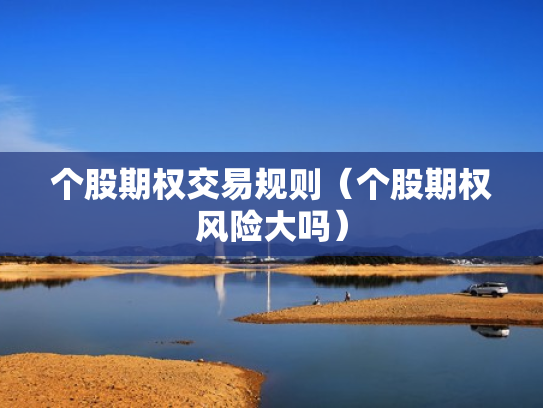个股期权交易规则（个股期权风险大吗）