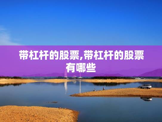 带杠杆的股票,带杠杆的股票有哪些