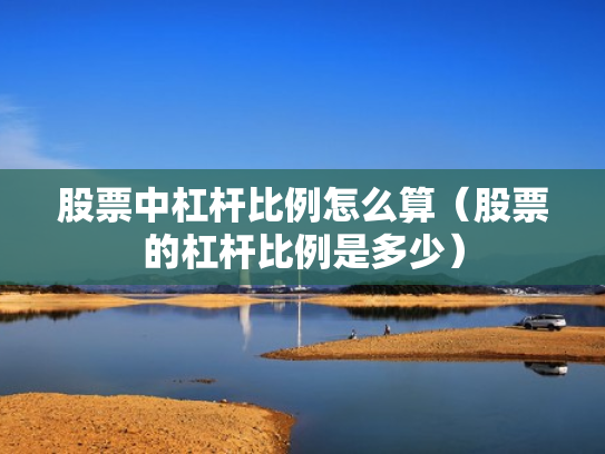 股票中杠杆比例怎么算（股票的杠杆比例是多少）
