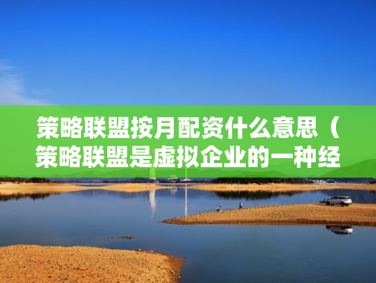 策略联盟按月配资什么意思（策略联盟是虚拟企业的一种经营模式）