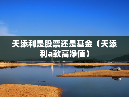 天添利是股票还是基金（天添利a款高净值）