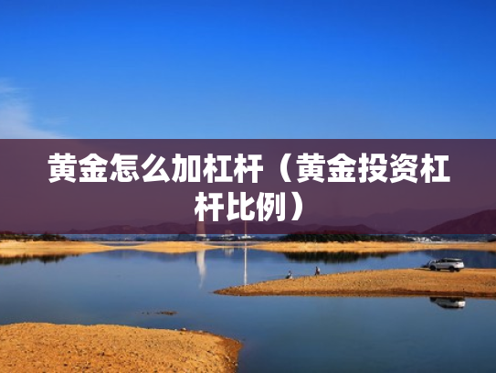 黄金怎么加杠杆（黄金投资杠杆比例）