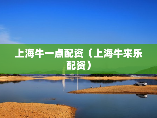 上海牛一点配资（上海牛来乐配资）