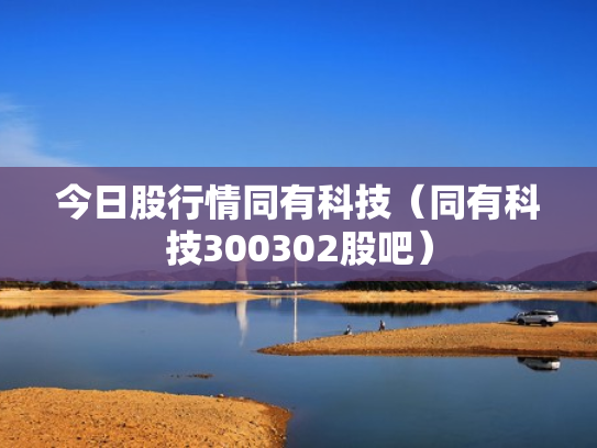 今日股行情同有科技（同有科技300302股吧）