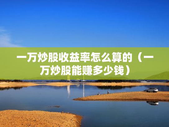 一万炒股收益率怎么算的（一万炒股能赚多少钱）