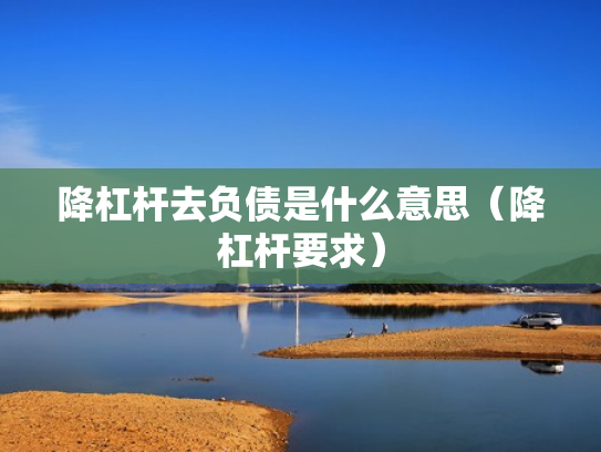 降杠杆去负债是什么意思（降杠杆要求）