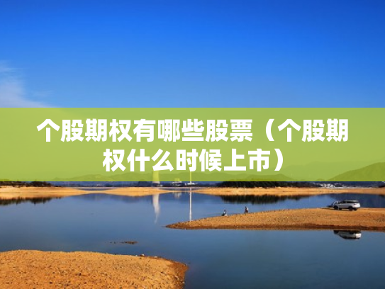 个股期权有哪些股票（个股期权什么时候上市）