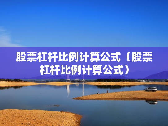 股票杠杆比例计算公式（股票杠杆比例计算公式）